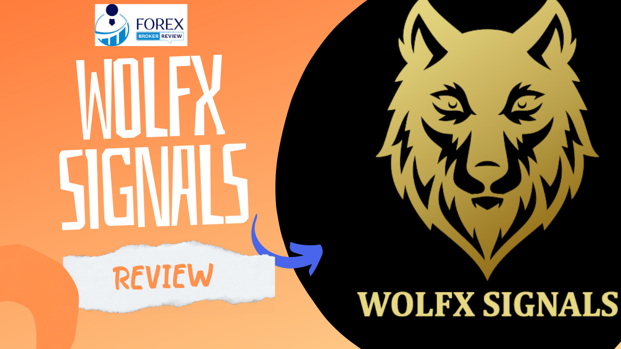 Wolfx Signals Review Is It A Scam