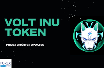 volt_inu_token