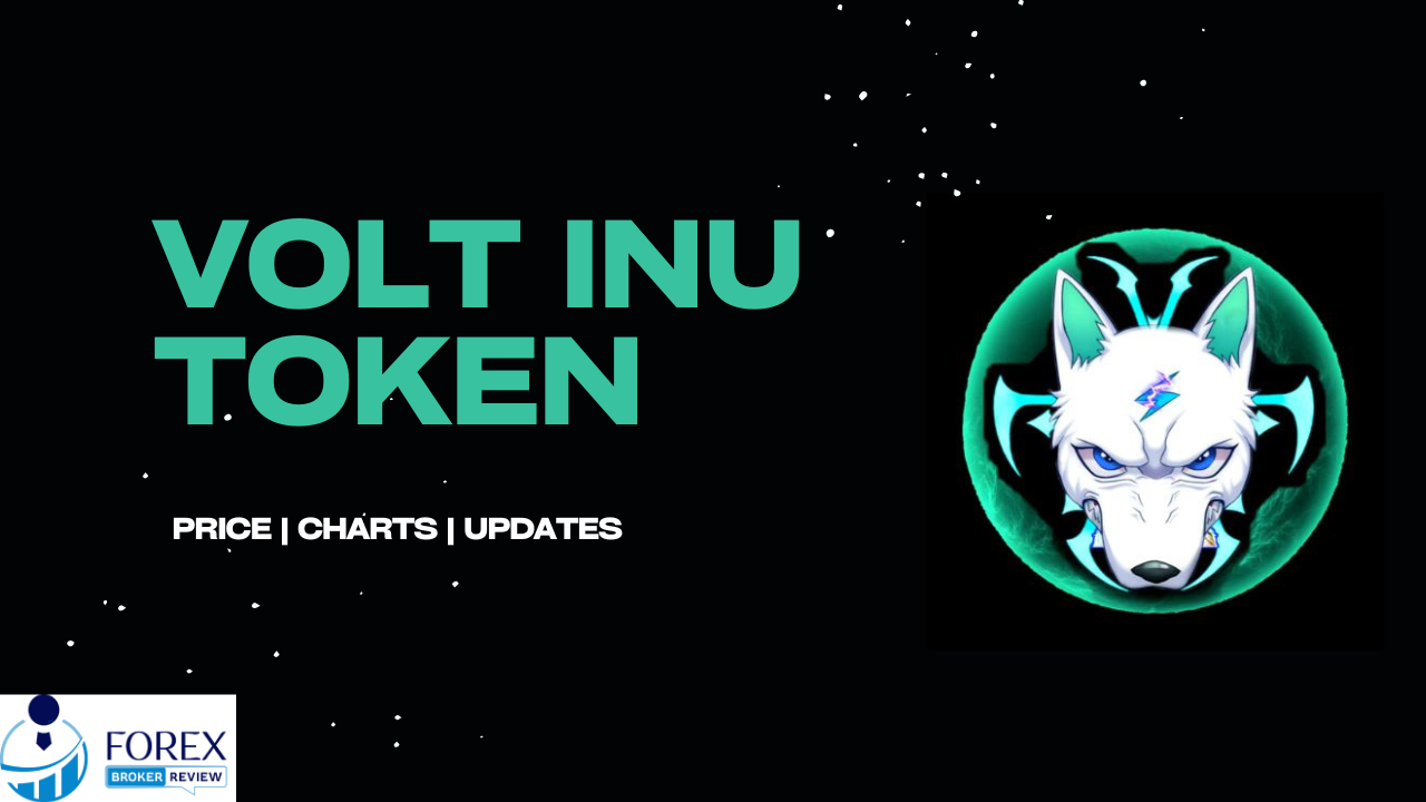 volt_inu_token